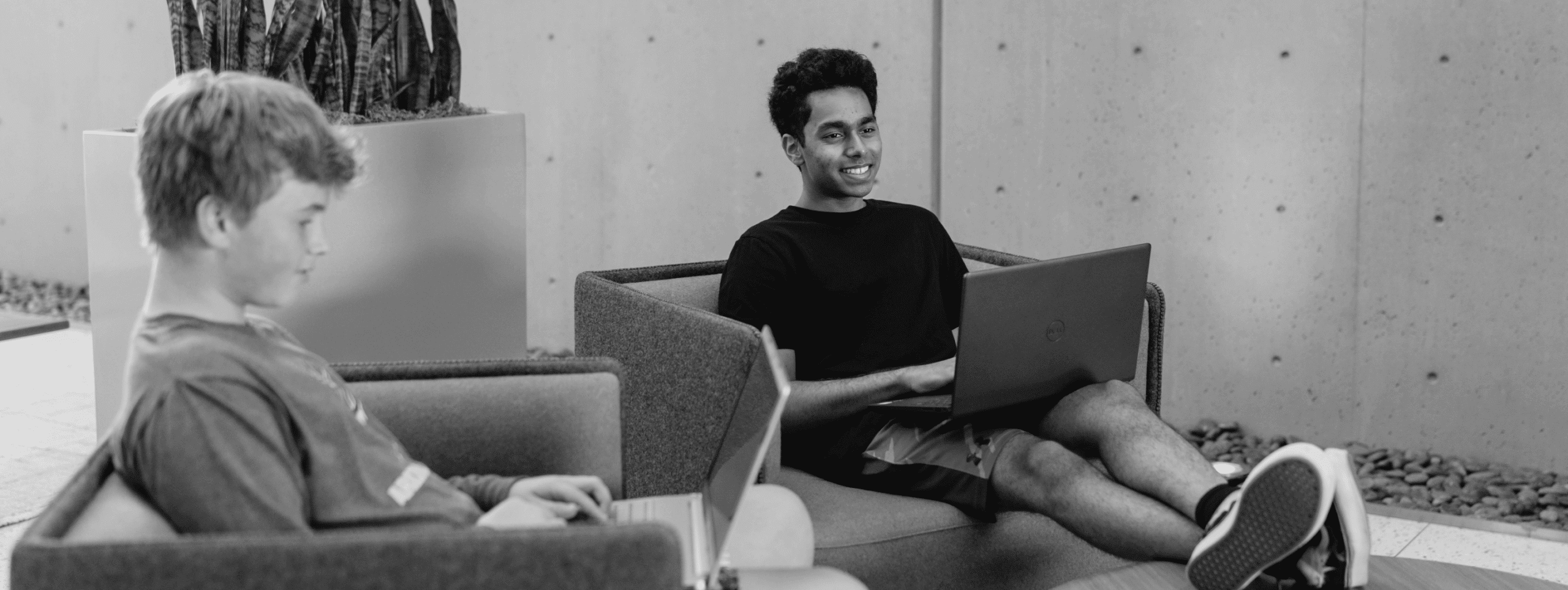 students working together on their laptops